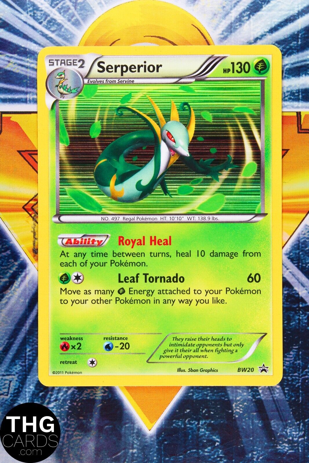 Serperior BW20 Black Star Promo Black & White Pokemon Card