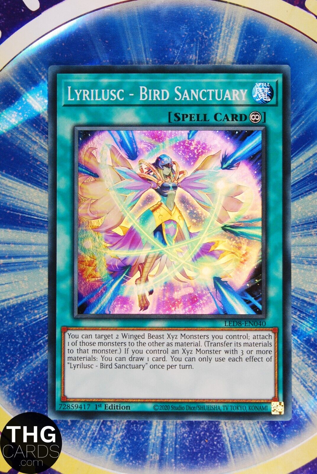 Lyrilusc - Bird Sanctuary LED8-EN040 1st Edition Super Rare Yugioh Card