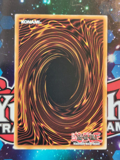 Dark Scorpion Combination DCR-098 Rare Yugioh Card Dark Crisis