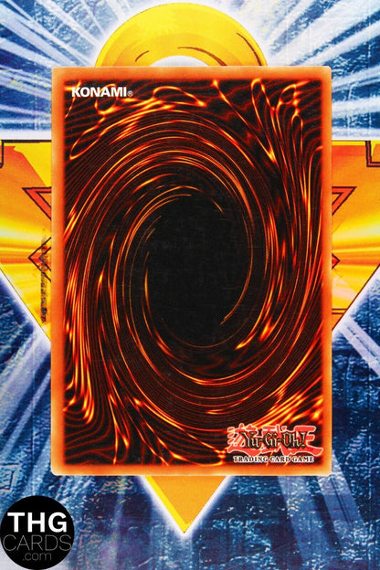 Dark Designator TP5-EN020 Common Yugioh Card