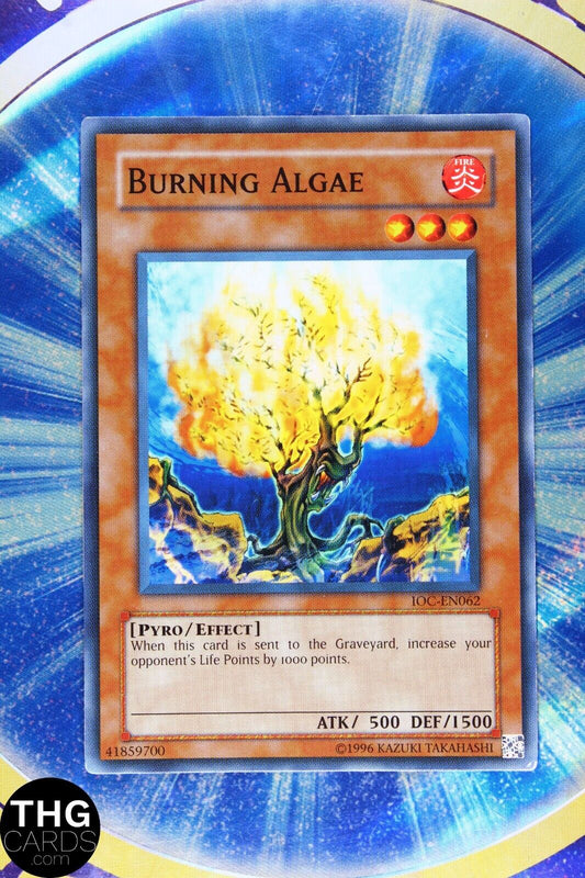 Burning Algae IOC-EN062 Common Yugioh Card