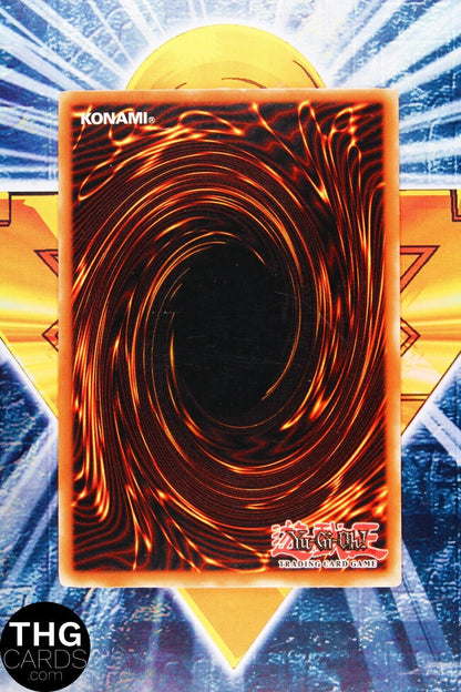 Amazoness Chain Master SP1-EN002 Ultra Rare Yugioh Card