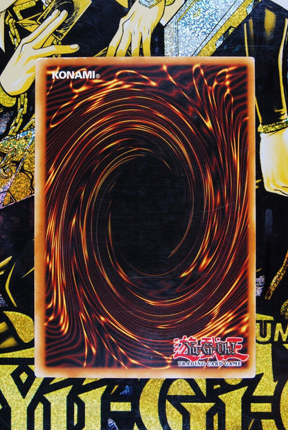 Infernal Incinerator DP2-EN009 Rare Yugioh Card Duelist Pack 2