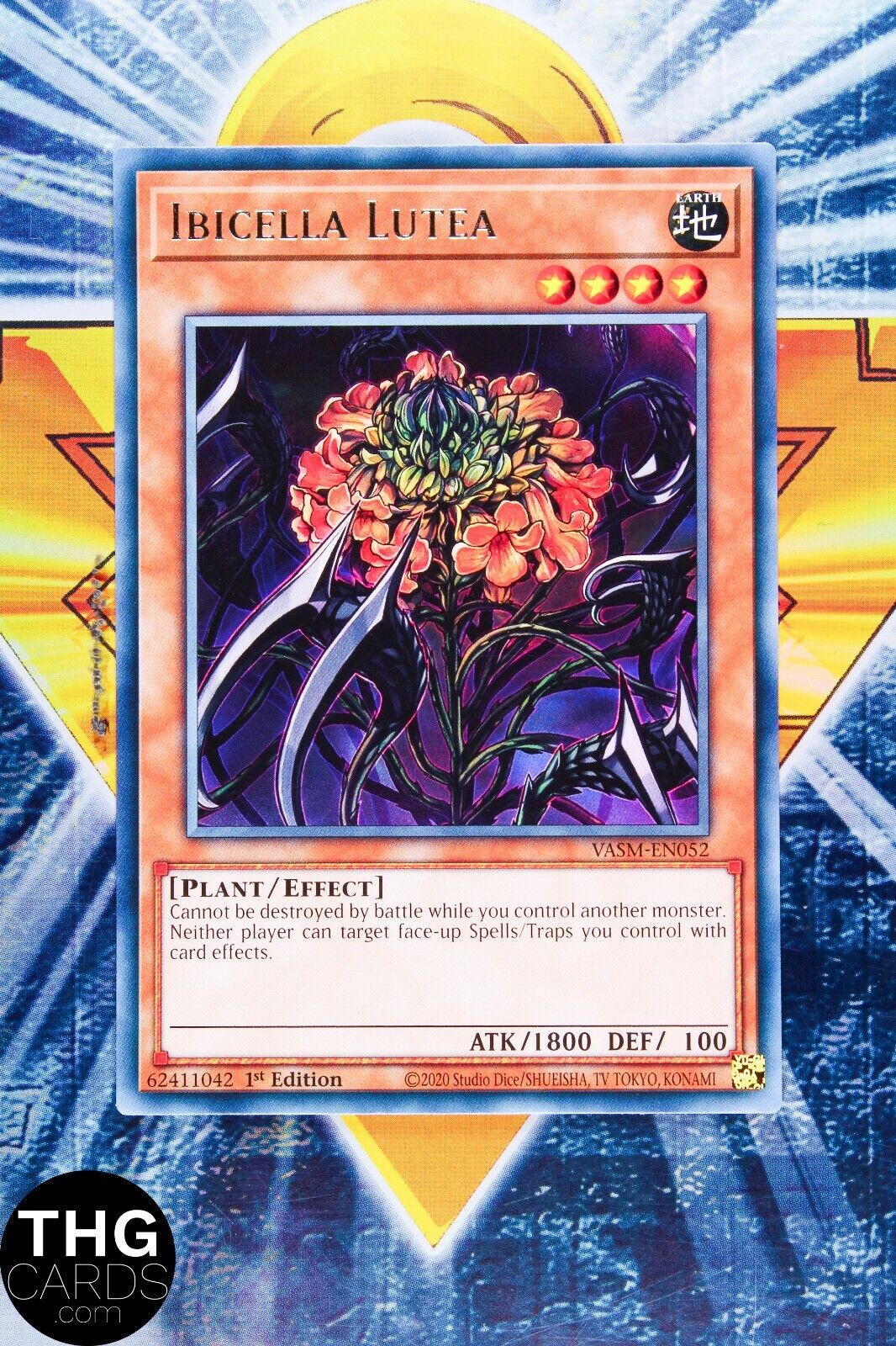 Ibicella Lutea VASM-EN052 1st Edition Rare Yugioh Card Playset